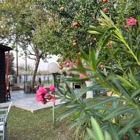 Onar Villa